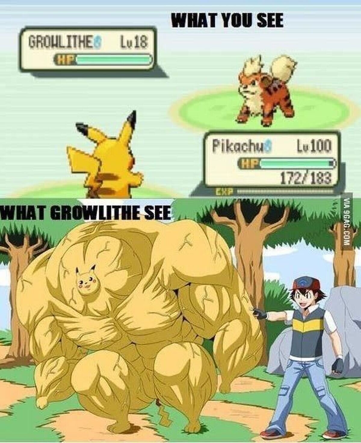Un Pikachu nivel &ldquo;cierra sesi&oacute;n&rdquo;