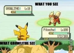 Un Pikachu nivel &ldquo;cierra sesi&oacute;n&rdquo;