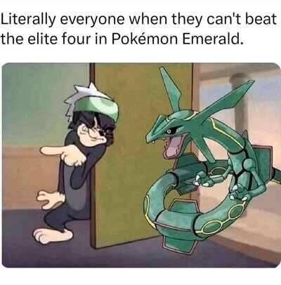 Rayquaza, que parezca un accidente