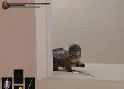 Yo regresando al mismo jefe que ya me zurr&oacute; 15 veces sin cambiar ni un m&iacute;nimo de estrategia