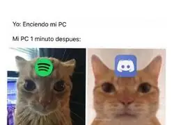 Los 4 que nunca faltan