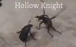 Que hermoso se ve Hollow Knight