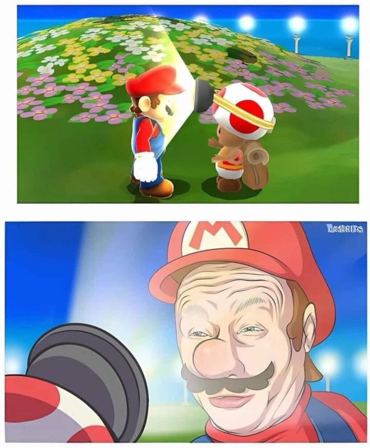 Pero qu&iacute;tate, Toad...