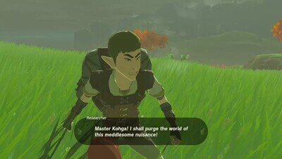 Ojo con los Cuccos de Zelda