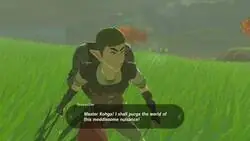 Ojo con los Cuccos de Zelda