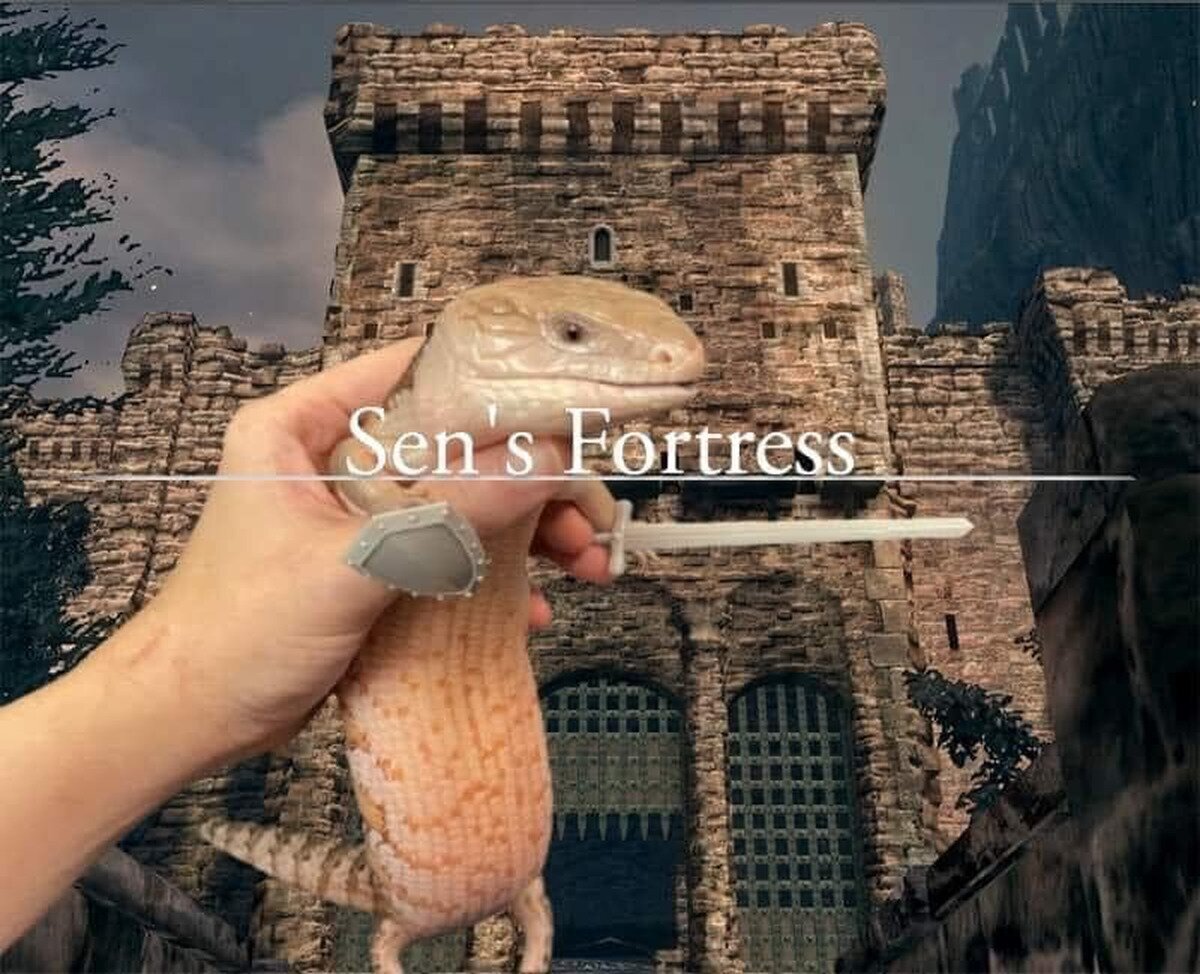 La fortaleza de Sen ten&iacute;a mucho estilo