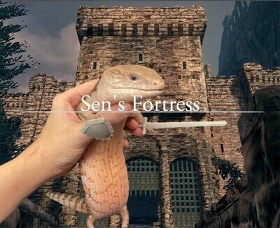 La fortaleza de Sen ten&iacute;a mucho estilo