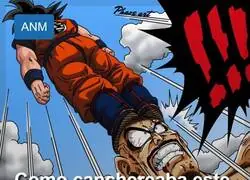 Goku era un poco sobrado