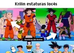 Ya en serio, &iquest;cuanto mide Krillin?
