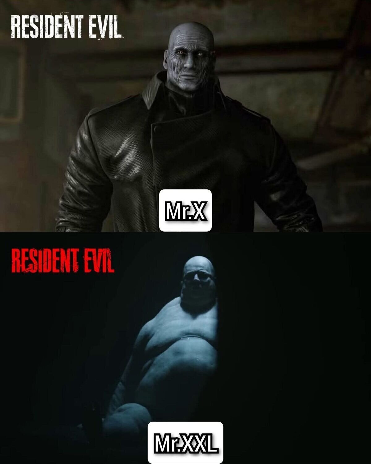 Jajajaja, Mr. XXL...