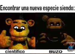 Descubriendo una nueva especie