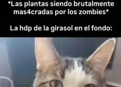 Tienen el trabajo m&aacute;s facil