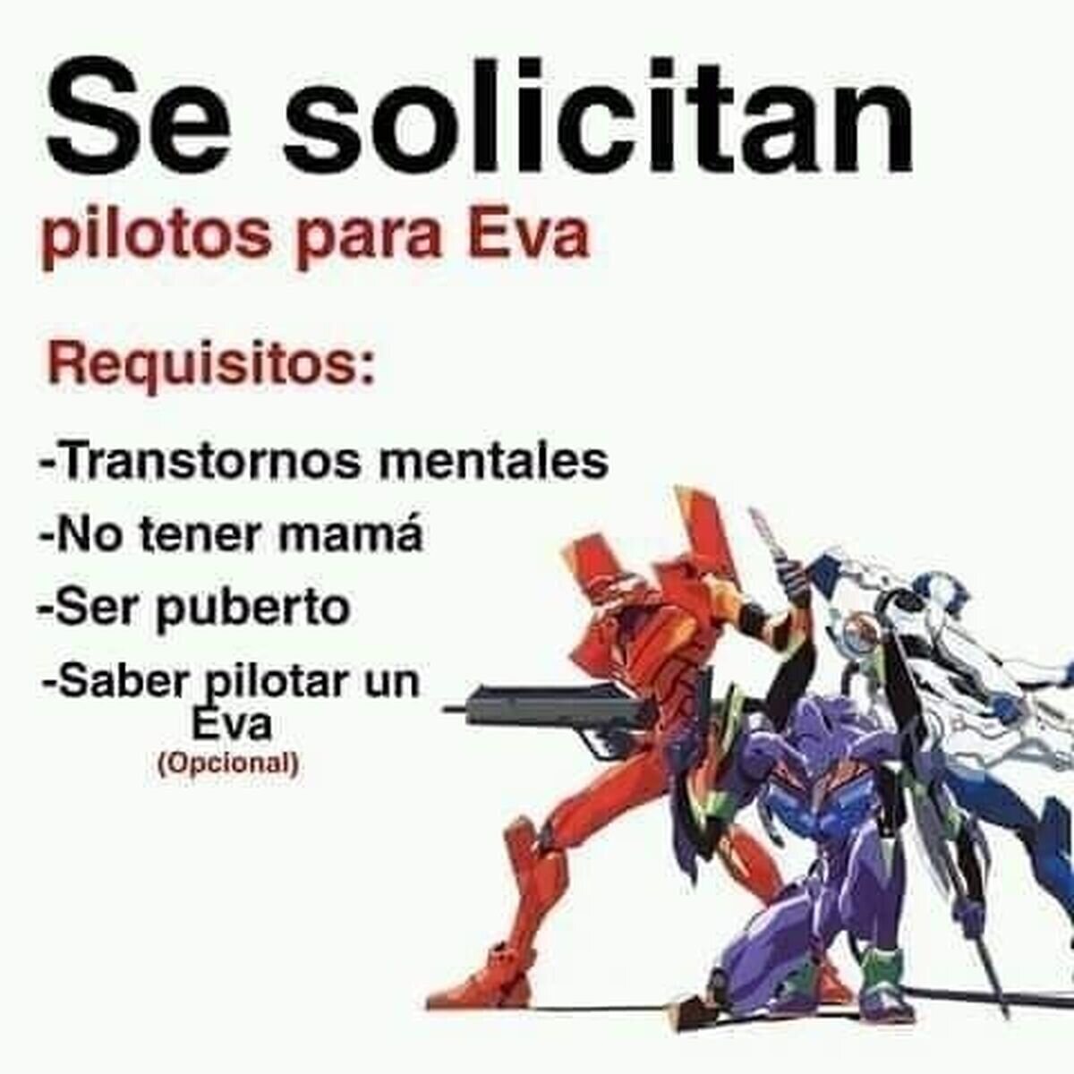 Requisitos para pilotar el Eva