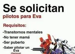 Requisitos para pilotar el Eva