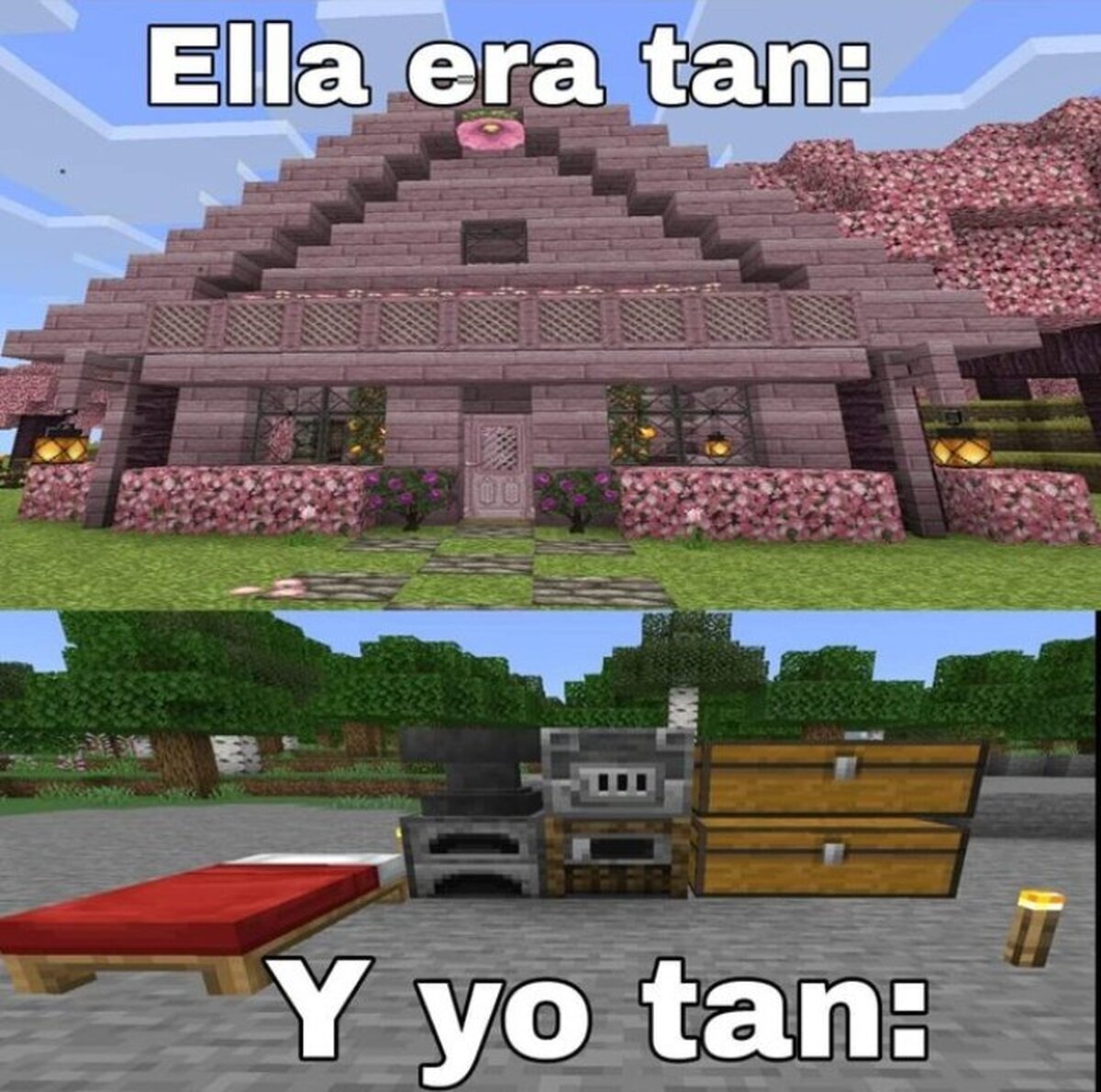 De mundos distintos