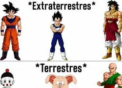 Toriyama nunca explic&oacute; esto