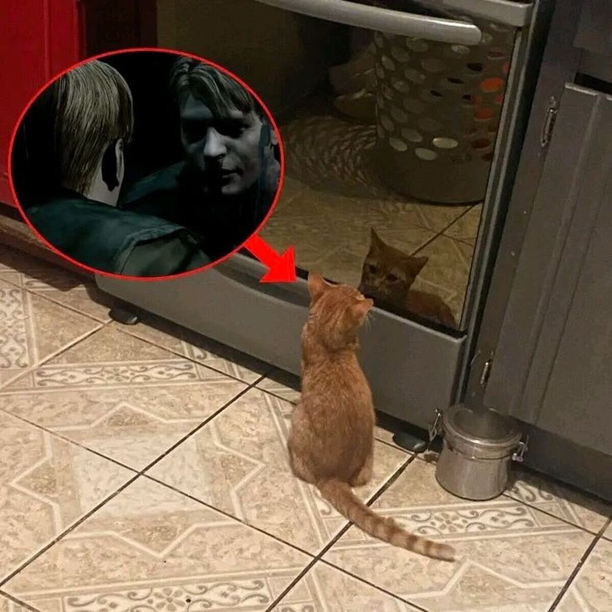 Mi gato que se cree James Sunderland