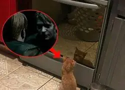 Mi gato que se cree James Sunderland
