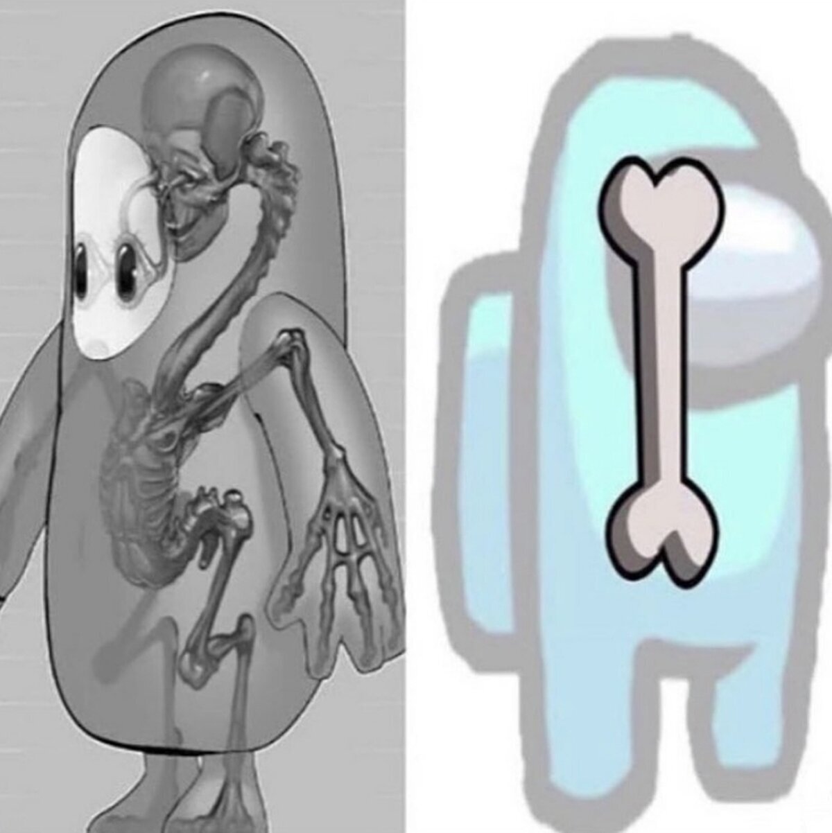 Ananatomía muy simple