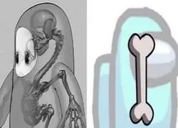 Ananatom&iacute;a muy simple