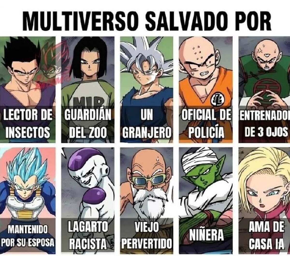 Los heroes del multiverso