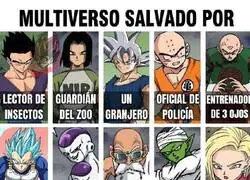 Los heroes del multiverso