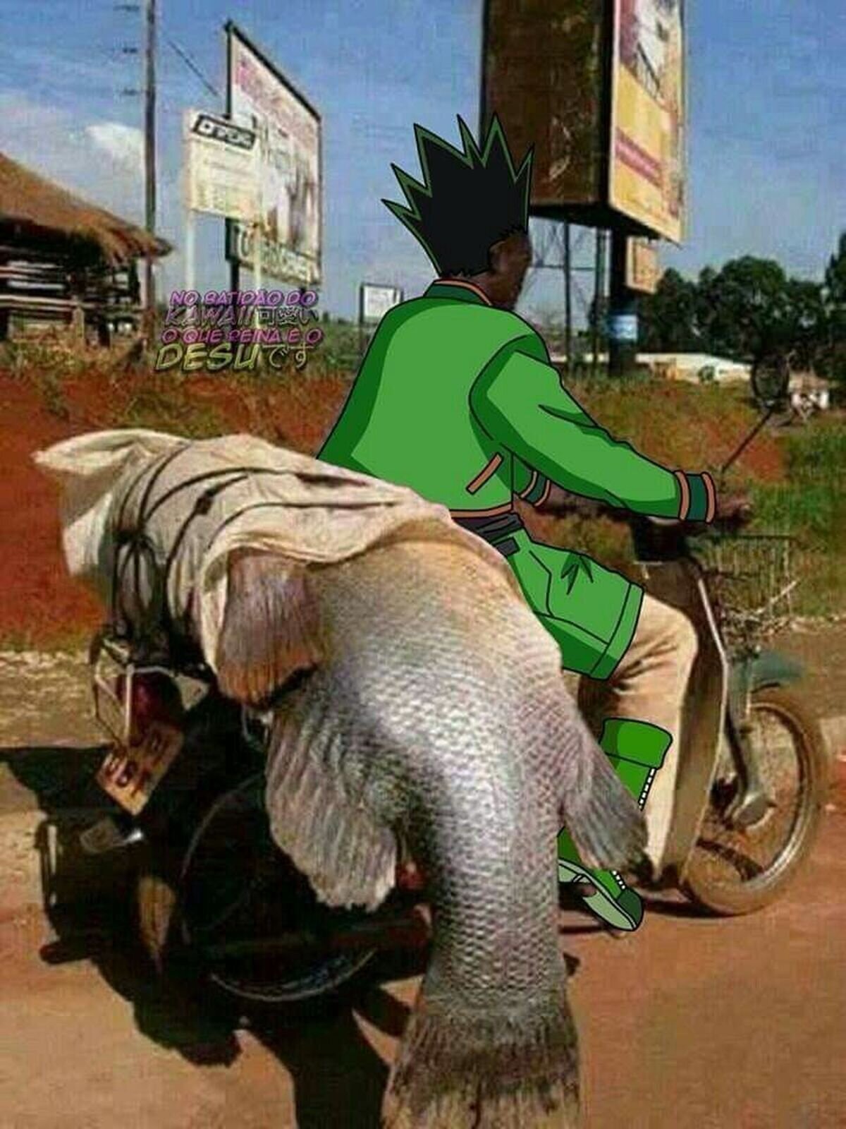 Gon en el primer capítulo de Hunter X Hunter
