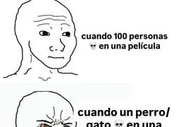 Los animales tienen m&aacute;s protagonismo que la trama principal