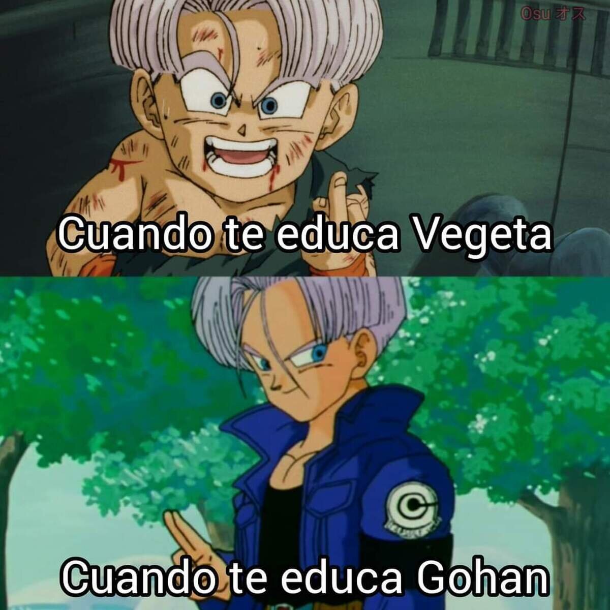 Los padres de Trunks