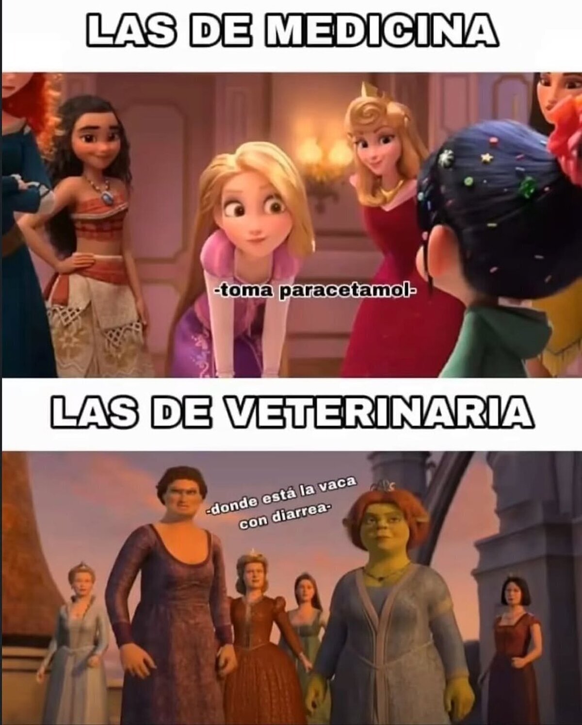 Mujeres hechas de otro material