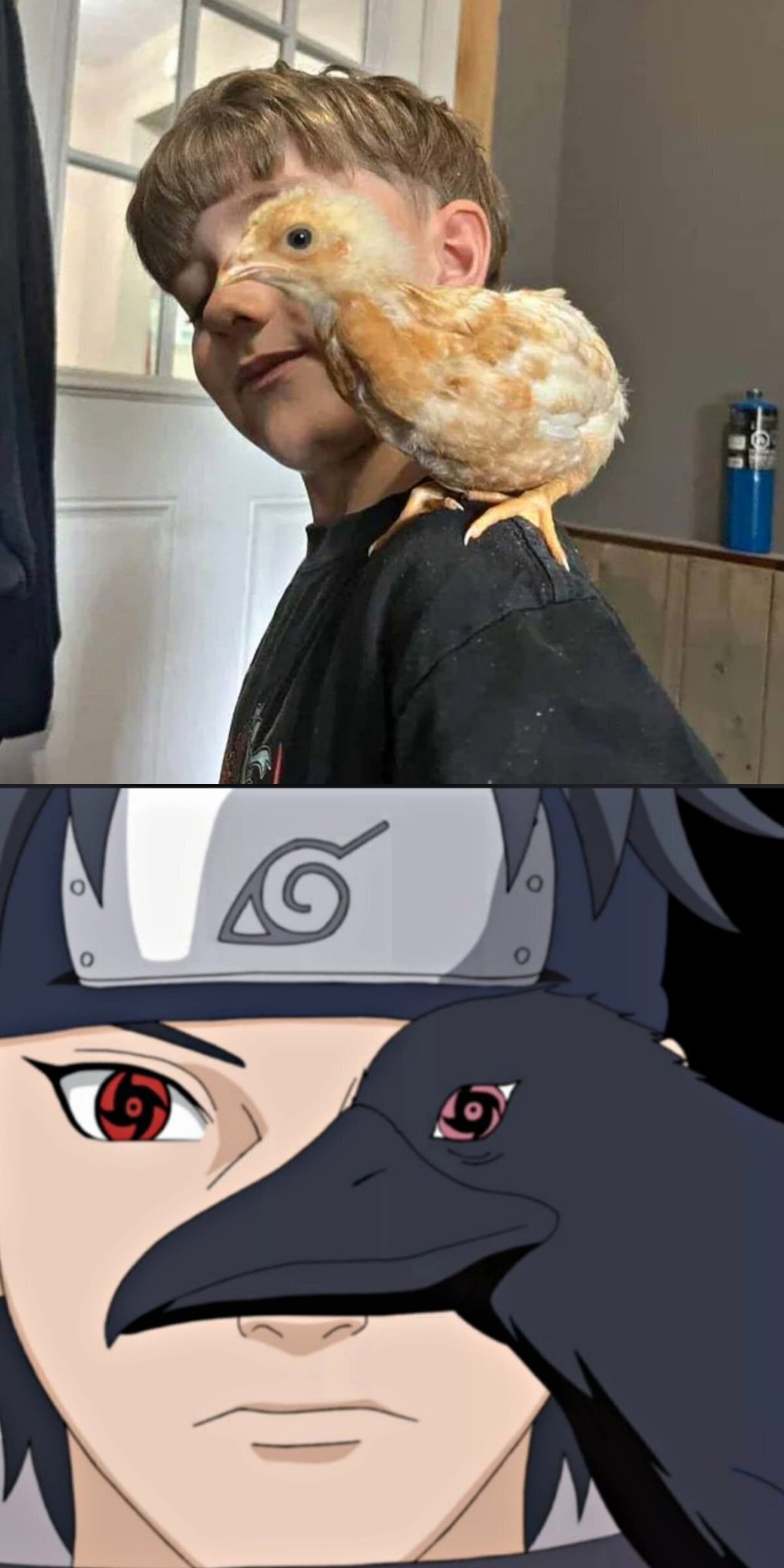 Has caido en mi genjutsu
