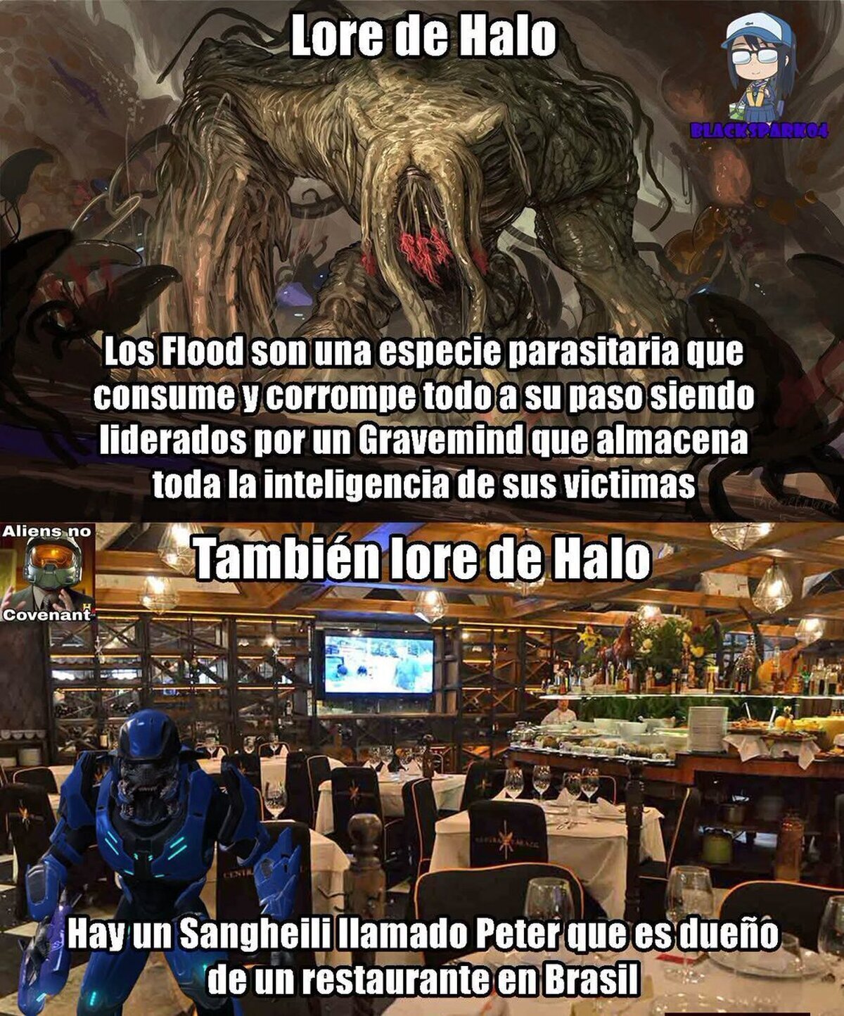 Bungie explicando lore de Halo mientras nosotros solo queremos disparar bichos