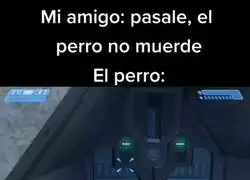 Es un perro tranquilo