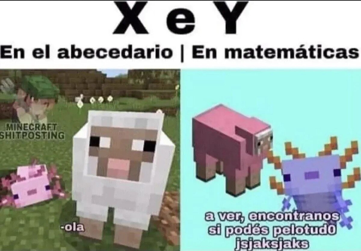 X y Y según Minecraft