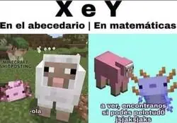 X y Y seg&uacute;n Minecraft