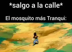Los mosquitos del verano