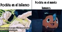La nerfeada de Pochita