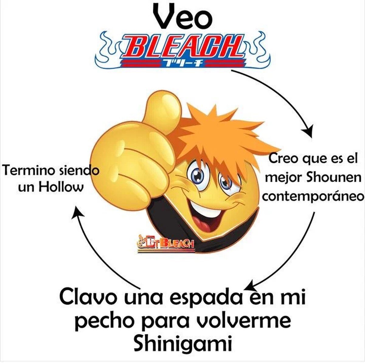Yo despues de ver Bleach