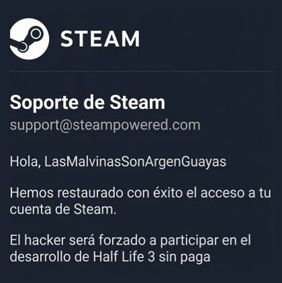 Tremendo el support de Steam