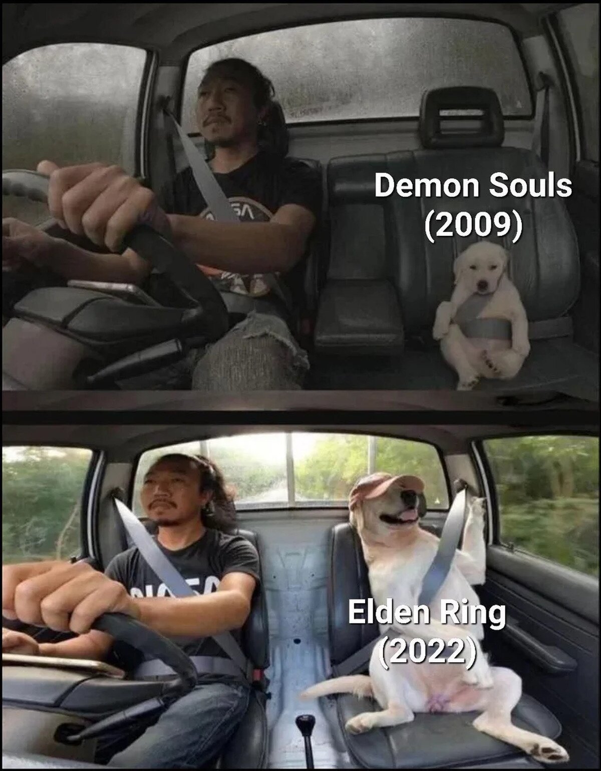 Ha sido un bello camino