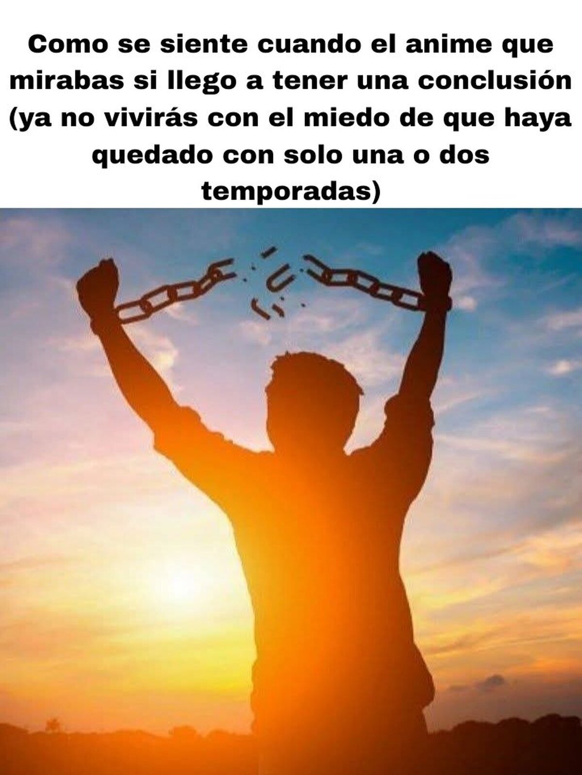 Cuando el anime termina perfectamente
