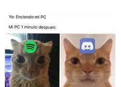 Los 4 infaltables