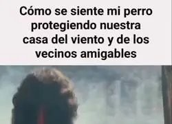 Mi perro con la persepci&oacute;n bien alterada