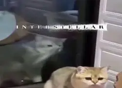 Que dura es esa escena