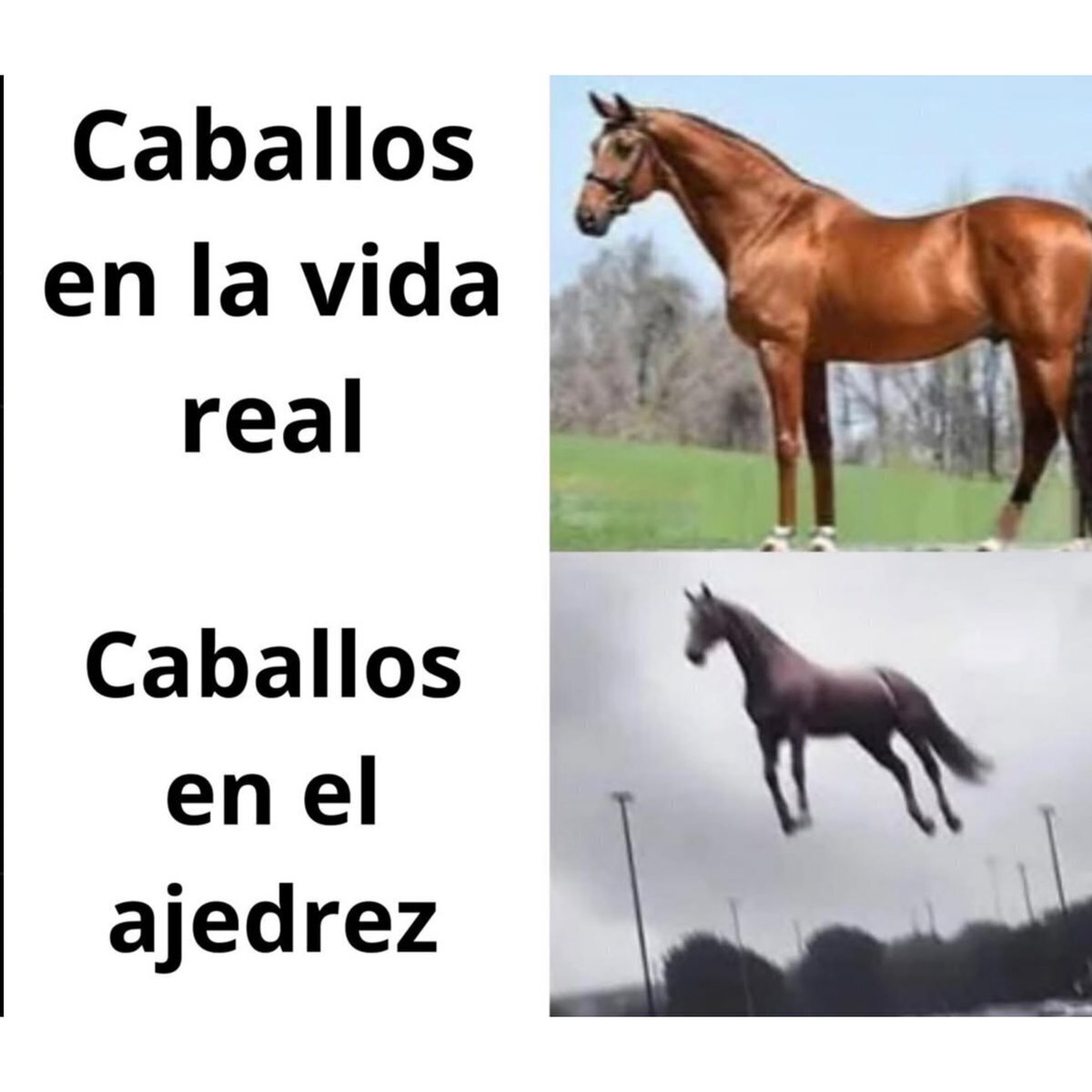 Hay que nerfearlos