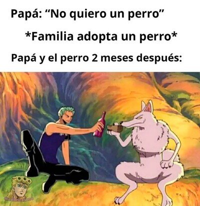 Pap&aacute; a los 2 meses: 'Este perro es mi hijo, que nadie lo toque o le paso algo'
