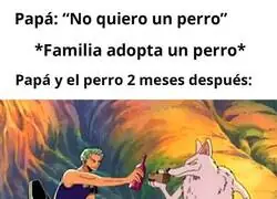 Pap&aacute; a los 2 meses: 'Este perro es mi hijo, que nadie lo toque o le paso algo'