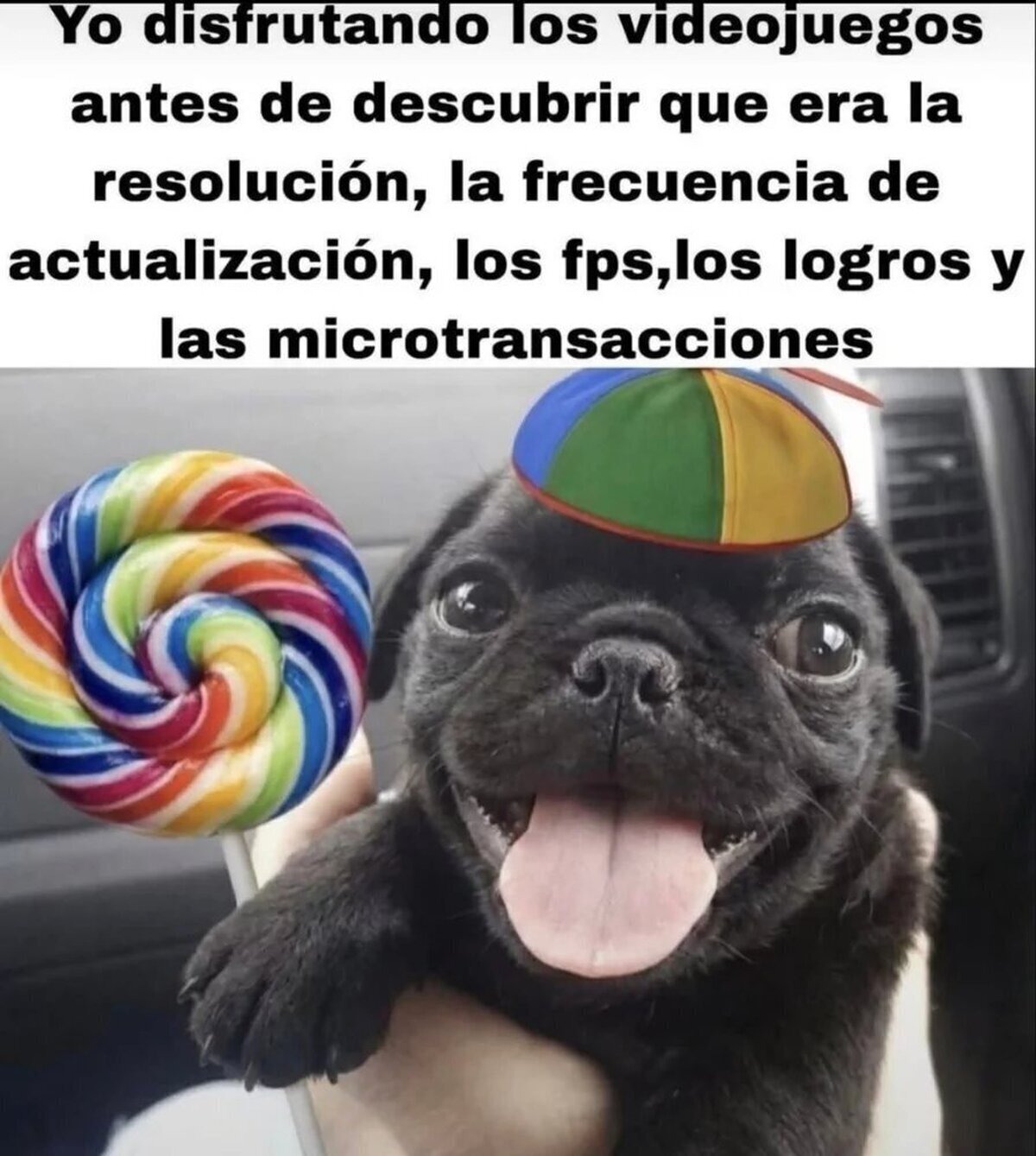 La felicidad de la ignorancia