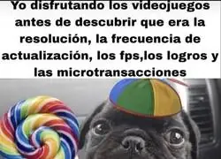 La felicidad de la ignorancia