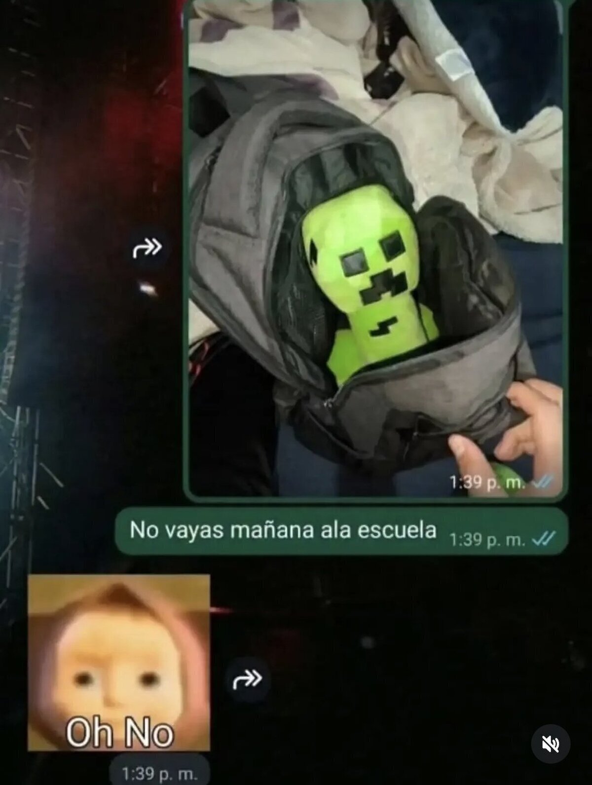 Advirtiendo a mi compa&ntilde;ero favorito